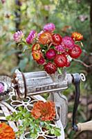 Autumn arrangement of zinnias and everlasting flow