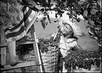 Кадр из фильма «Веселые ребята» (1934).