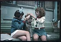 Кадр из фильма «Внимание, черепаха!», (1970).