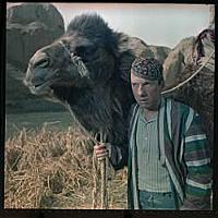 Кадр из фильма «Джентльмены удачи». 1971. На фото: