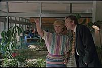 Кадр из фильма «Любовь и голуби», (1984). На фото: