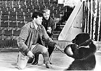 Кадр из фильма «Король манежа», (1969).