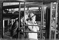 Кадр из фильма «Я шагаю по Москве», (1963).