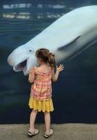 На фото: 3-летняя Вероника и Белуха Джуно в океана
