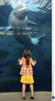 На фото: 3-летняя Вероника и Белуха Джуно в океана