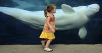 На фото: 3-летняя Вероника и Белуха Джуно в океана