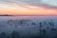 Осень в Латвии