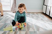 Female toddler playing with toy on living room rug