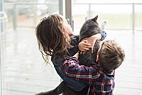 Children playing with cat at home