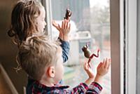 Children playing with frogs on window