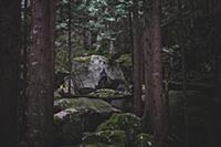 Climber bouldering in forest, Squamish, Canada