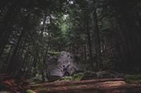 Climber bouldering in forest, Squamish, Canada