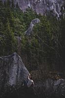 Climber bouldering in forest, Squamish, Canada