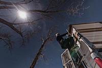 Woman climbing steps on campervan, bare trees in b