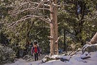 Climber hiking, Yosemite National Park, California