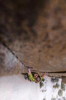 Climber trad climbing, Pine Creek, Bishop, Califor