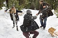 Young woman and mid adult men having snowball figh