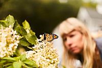 Monarch butterfly perched on flower, woman in back