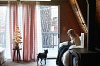 Woman drinking on sofa with dog at home