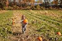 Girl in pumpkin patch