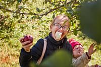 Girls picking and eating apples from tree