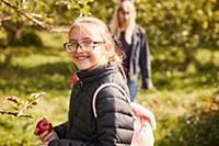 Girl picking apples from tree