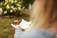 Monarch butterfly on tissue in palm