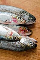 Подборка фотографий блюд из морепродуктов для кале