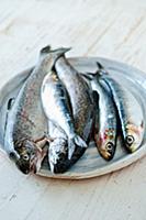 Подборка фотографий блюд из морепродуктов для кале
