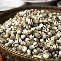 Подборка фотографий блюд из морепродуктов для кале