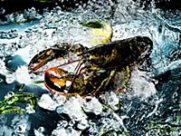 Подборка фотографий блюд из морепродуктов для кале
