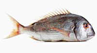 Подборка фотографий блюд из морепродуктов для кале