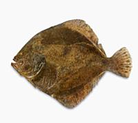 Подборка фотографий блюд из морепродуктов для кале