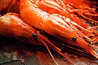 Подборка фотографий блюд из морепродуктов для кале