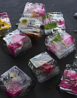 Подборка блюд со съедобными цветами, 2014.