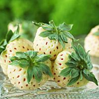 Пайнберри (ананасовая клубника).