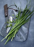 Oriental garlic-chives on a grey marble board with