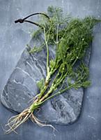 Laos coriander on a grey marble board