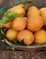 Blood oranges with leaves in a ceramic bowl