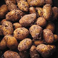 Potatoes