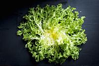 Curly lettuce (top view)