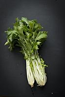 Rapini on a black surface