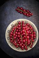 Red Currants