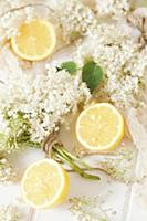 Fresh Elderflowers and Lemons