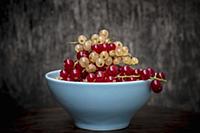 Red and White Currants