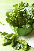 Fresh lamb's lettuce in a green bowl and next to i