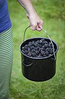 A woman carrying a pot of freshly picked blackberr