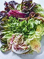 Various types of leafy lettuce