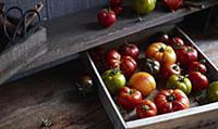 Red and green tomatoes in a crate