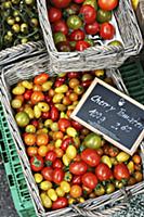 Various tomatoes at a market